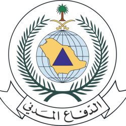 تعيين محمد المطيري رئيسا لمركز التويم بمحافظة المجمعة