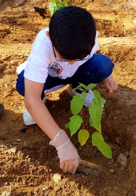 مبادرة “زرعتني فلا تهملني” لتعليم النشء والأطفال حب الأشجار
