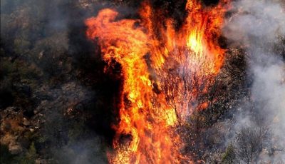 اندلاع حريق كبير في جبل لبنان