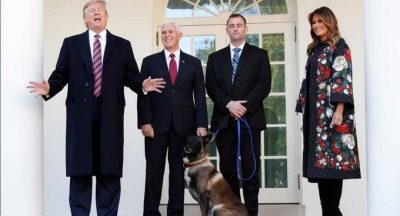 ترامب يكرِّم الكلب كونان بطل موقعة تصفية البغدادي