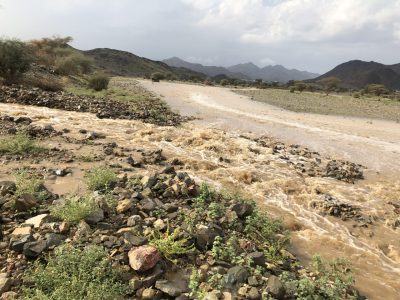 بالفيديو والصور..هطول أمطار غزيرة شرق محافظة الليث