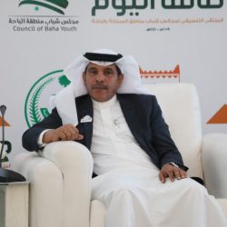 هوية سعودية لمشاركة الإمارات احتفالاتها باليوم الوطني