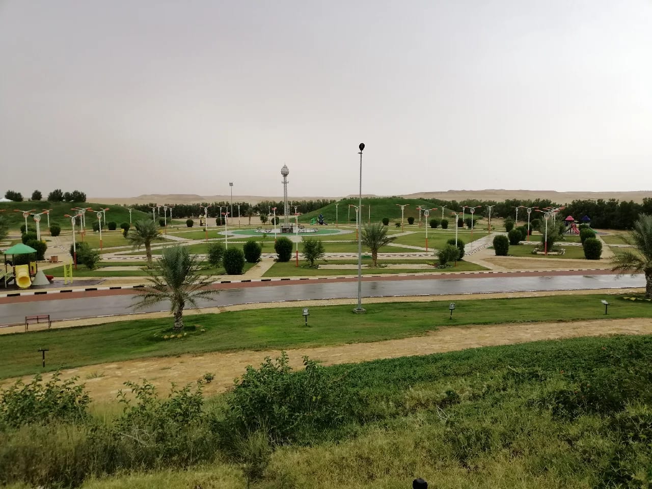 سلمان حديقة الملك Riyadh Green