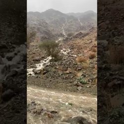 “الجيش الوطني اليمني” يدمر أسلحة وتحصينات لمليشيا الحوثي بصعدة