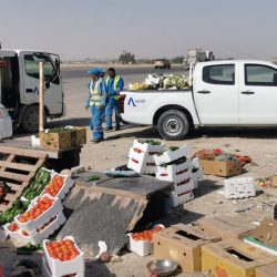 بلدية محافظة الخفجي تكشف على 93 منشأه صحية وتتلف مواد غذائية بوزن(67) كجم