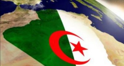 تشكيل حكومة جديدة في الجزائر من 39 وزيرًا