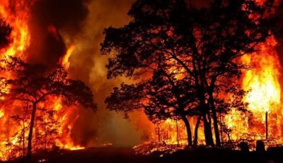 الحكومة الأسترالية تخصص “76” مليون دولار لتعافي السياحة المتأثرة من الحرائق