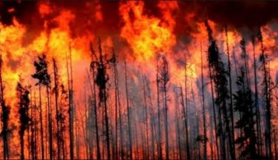 أستراليا تستعين ب”٣” آلاف جندي للسيطرة على حرائق الغابات