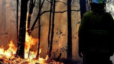 حرائق غابات أستراليا تشتعل مجدّداً والسلطات تُجلي السكان