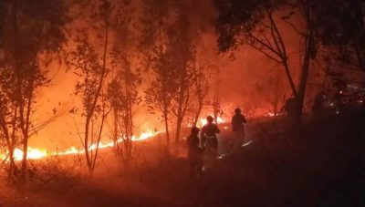 “الصين” : مصرع “19” شخصًا بسبب حرائق الغابات جنوب غربي البلاد