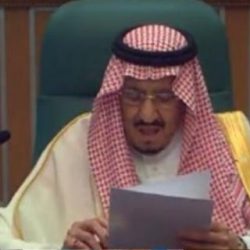 الجامعة العربية تشيد بجهود المملكة في حماية حقوق الإنسان