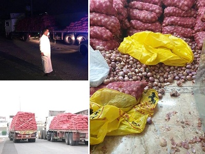 مصادرة “60” طن من أكياس البصل بمستودع مخالف بنطاق أبرق الرغامة