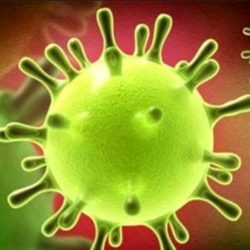 سلطنة عمان تسجل 98 إصابة جديدة بفيروس كورونا