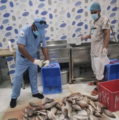 إغلاق مطعم مخالف للاشتراطات وإتلاف “250” كيلو من الأسماك الفاسدة بنطاق الصفا