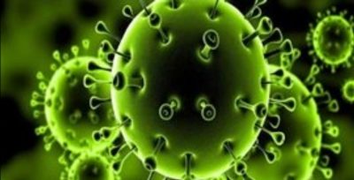 مصر تسجل 1168 حالة إيجابية جديدة لفيروس كورونا و 88 حالة وفاة