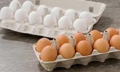 “الغذاء والدواء” تقدم نصائح حول حفظ وتحضير واستهلاك ‏البيض