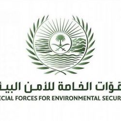“التحالف”: اعتراض وتدمير طائرة بدون طيار مفخخة أطلقتها المليشيا الحوثية الإرهابية باتجاه المملكة