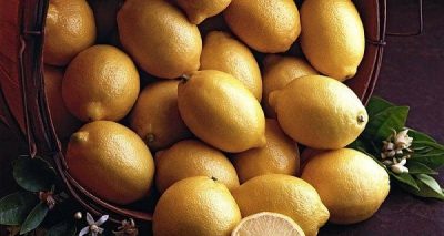 الليمون والنحافة.. دراسة تكشف “العلاقة الغريبة”
