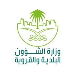 أمير الكويت يعين الشيخ صباح خالد الحمد الصباح رئيسًا لمجلس الوزراء