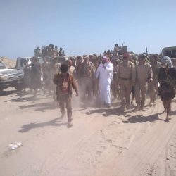 استمرار عملية الإنسحابات وفصل القوات بين المجلس الانتقالي الجنوبي والحكومة اليمنية