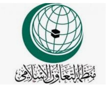 منظمة التعاون الإسلامي تشارك في إحياء اليوم العالمي للتضامن مع الشعب الفلسطيني