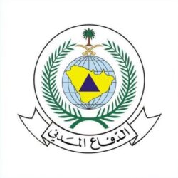 التحالف: تدمير طائرة مفخخة أطلقتها ميليشيا الحوثي باتجاه مطار أبها
