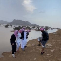“لملس”  يطّلع من مدير البرنامج السعودي  على المشاريع الجديدة المعتمدة للعاصمة عدن