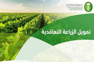 صندوق التنمية الزراعية يُطلق منتج تمويل الزراعة التعاقدية
