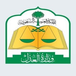 وزارة الرياضة تقرر حل مجلس إدارة نادي النصر