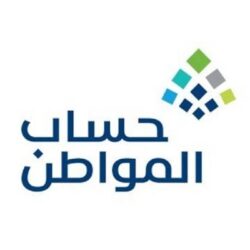 برئاسة المحافظ لملس.. تنفيذي عدن يقرر تشكيل مجلس اقتصادي ويطالب بإعادة فتح فرع البنك المركزي