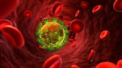 كيف يقلل مريض نقص المناعة الأولية إصابته بالعدوى؟.. “فهد الطبية” توضح