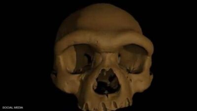 “الإنسان التنين”.. جمجمة قد تعيد كتابة قصة التطور البشري
