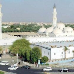 “الشؤون الإسلامية”: تحديث البروتوكولات الصحية في المساجد والجوامع