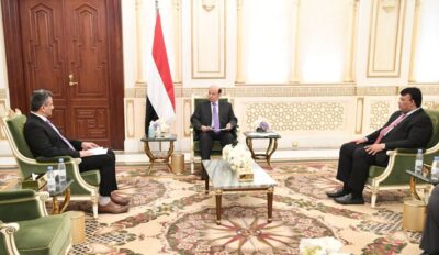 الرئيس اليمني يؤكد على أهمية الإسراع في استكمال مشروع محطة كهرباء عدن الجديدة