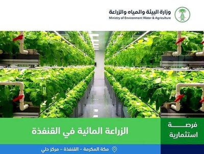 ‏ ‏وزارة البيئة ‏تطرح فرص استثمارية لإنشاء مشاريع للزراعة المائية بمركز حلي في محافظة القنفذه
