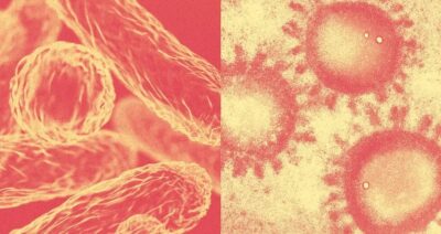 الفيروسات والبكتيريا تهاجمنا.. تحذير من العلاج الخاطئ