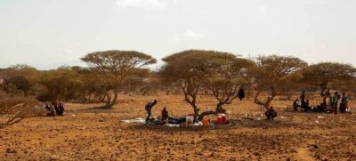 المنظمة الدولية للهجرة تكشف نفوق 1.5 مليون رأس ماشية في إثيوبيا بسبب الجفاف