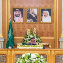 صندوق الاستثمارات العامة يطلق «الشركة السعودية المصرية للاستثمار»
