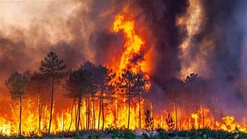 فرنسا.. إجلاء 3 آلاف شخص بسبب حرائق الغابات