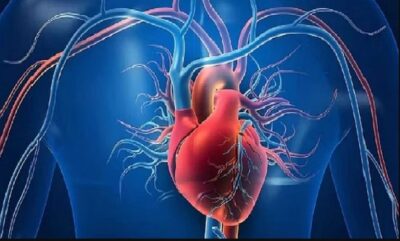 النمر: عمليات القلب المفتوح تحسن عضلة القلب في 50% من الحالات