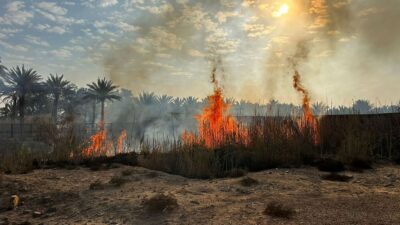 مدني دومة الجندل يخمد حريق مزارع متعدد.. ويحيل الحادثة للتحقيق