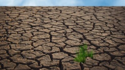 الموجة «الأسوأ».. الجفاف الحاد يهدد منطقة القرن الأفريقي