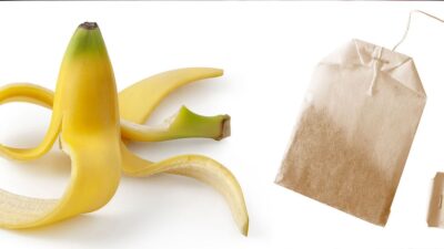 قشر الموز وأكياس الشاي.. بدائل متوفرة للأسمدة الزراعية التجارية