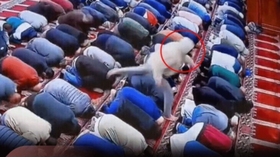 إمام مسجد في أمريكا يتعرض للطعن أثناء صلاة الفجر
