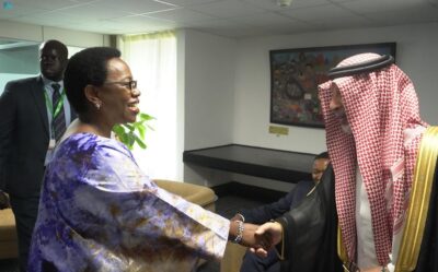 المستشار قطان يلتقي نائبة رئيس مفوضية الاتحاد الأفريقي