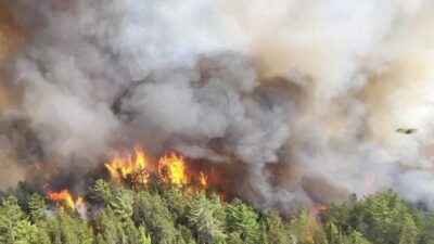 كندا.. الحرائق تلتهم 100 كليومتر مربع من الغابات