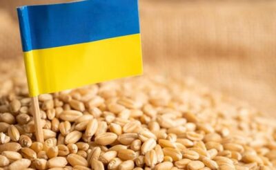مع تراجع صادرات الحبوب الأوكرانية.. العالم يترقب يوم 18 يوليو