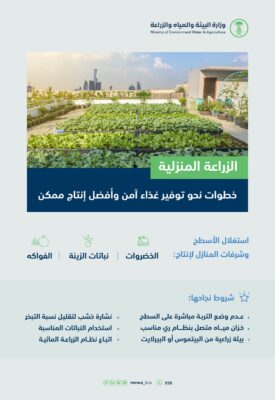 “البيئة”: الزراعة المنزلية خطوة نحو تحقيق فوائد بيئية وصحية وتوفير غذاء آمن