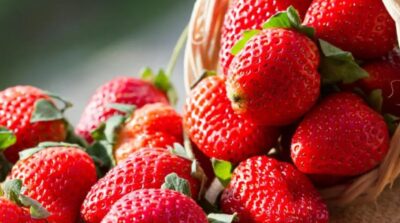 لصحة القلب والوقاية من السرطان.. 6 فوائد مذهلة لتناول الفراولة