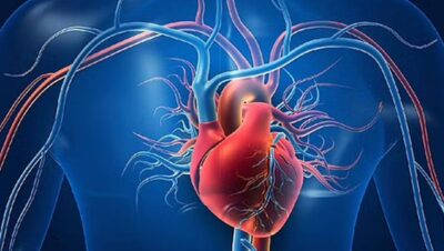 استشاري: 7 أسباب تؤدي إلى ارتفاع انزيمات القلب